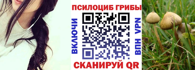 цены наркотик  Магас  Псилоцибиновые грибы Cubensis 